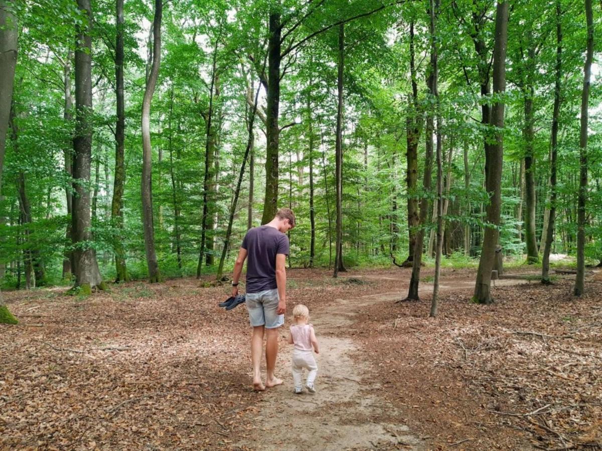 Nice Tent Lodge On A Campsite, Bordering The Forest, Luxembourg At 27 Km Medernach Luaran gambar