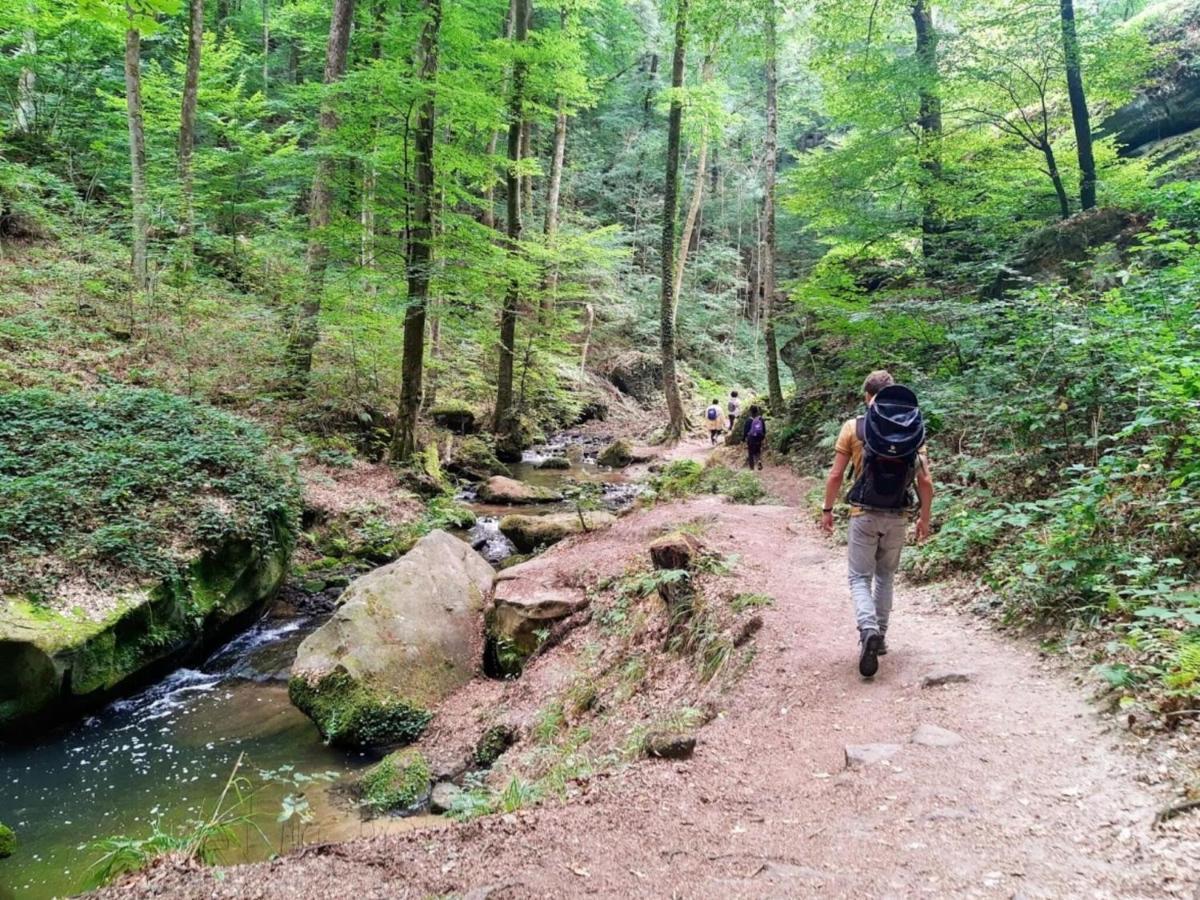 Nice Tent Lodge On A Campsite, Bordering The Forest, Luxembourg At 27 Km Medernach Luaran gambar